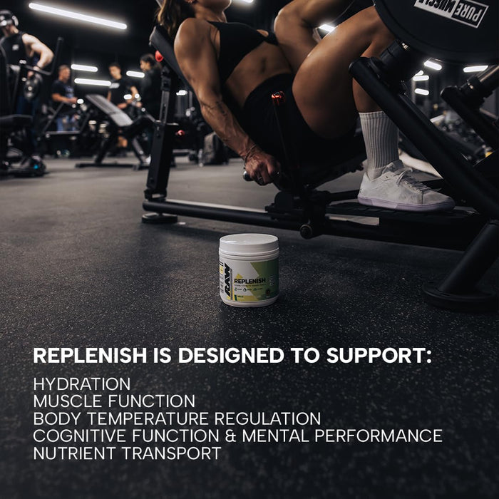 Raw Nutrition Replenish 20 stick packs - Endurance at MySupplementShop by Raw Nutrition