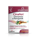 Vitabiotics Cinafen Cinnamon & Fenugreek 60 Tablets - Energy & Mind at MySupplementShop by Vitabiotics