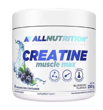 Creatine Muscle Max, Blueberry - 250g - Default Title - Creatine Supplements at MySupplementShop by Allnutrition