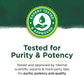 Swanson Green Tea 500 mg 100 Capsules at MySupplementShop.co.uk