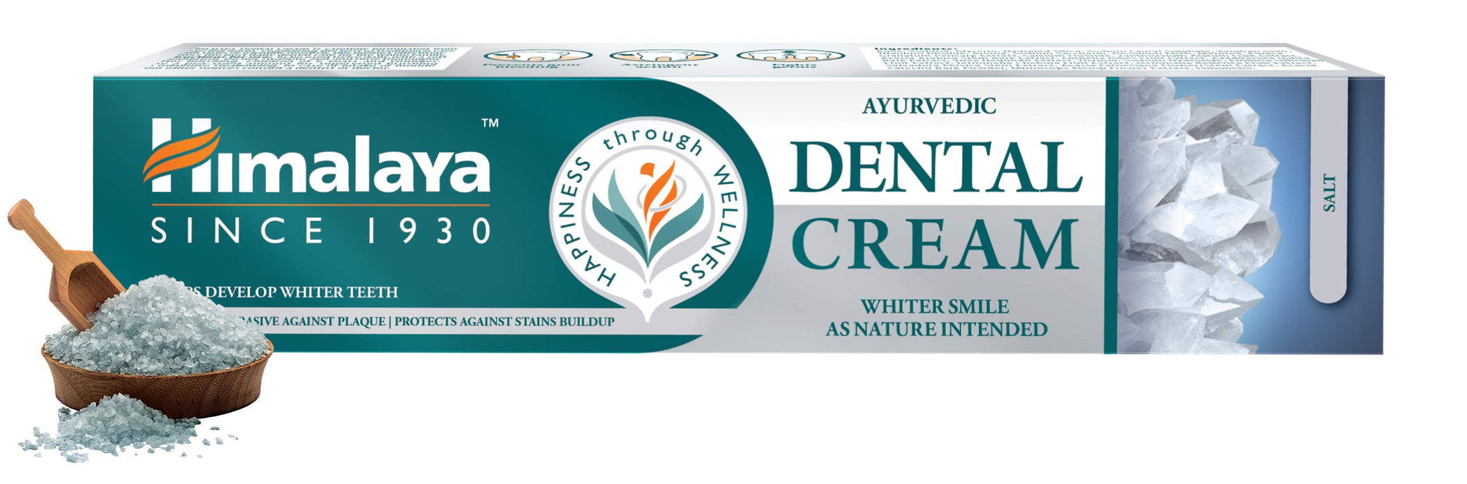 Himalaya Ayurvedic Dental Cream, Salt - 100g | High-Quality Toothpastes | MySupplementShop.co.uk